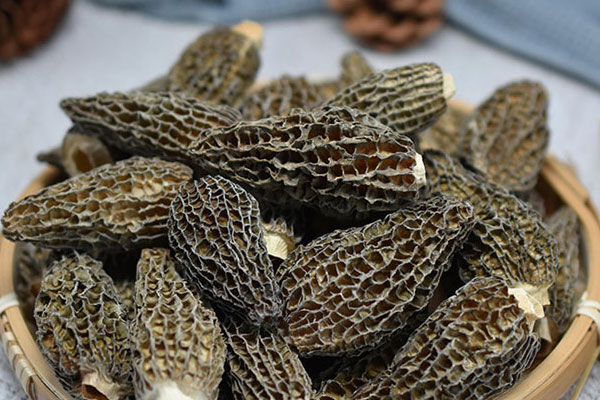 羊肚菌海馬蘋果湯的營養(yǎng)價值 羊肚菌海馬蘋果湯的營養(yǎng)價值