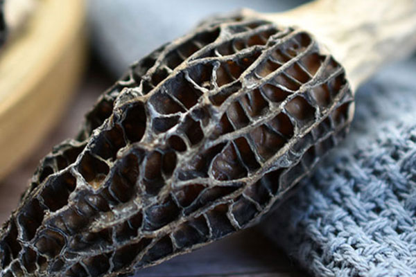 羊肚菌海馬蘋果湯的食用禁忌 羊肚菌海馬蘋果湯的食用禁忌