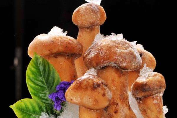 松茸冷凍一個月還可以吃嗎，松茸冷凍后還有營養(yǎng)嗎