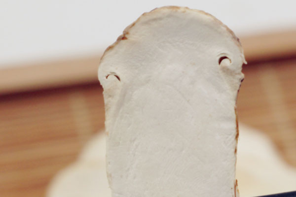 松茸為什么鮮美 松茸為什么鮮美