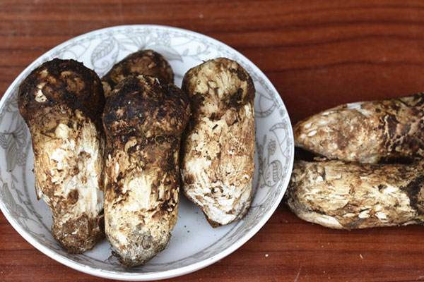 新鮮松茸需要抽真空冷凍嗎，冷凍過(guò)的松茸還能吃嗎