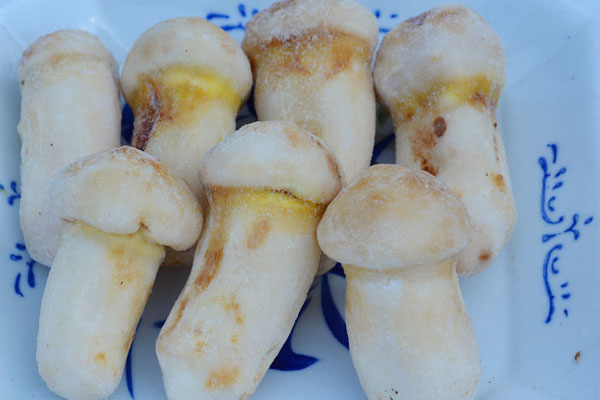 冷凍過的松茸還可以吃嗎 冷凍過的松茸還可以吃嗎