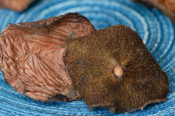 紅乳牛肝菌會(huì)發(fā)苦嗎 紅乳牛肝菌會(huì)發(fā)苦嗎