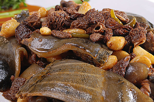 羊肚菌泡椒燜甲魚的做法，有哪些功效作用