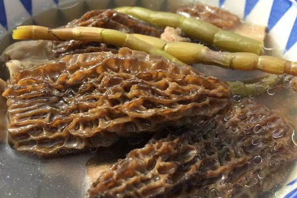 羊肚菌和什么材料煲湯最好，羊肚菌如何煲湯