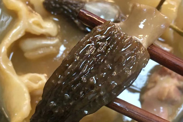 羊肚菌怎么煮湯 羊肚菌怎么煮湯