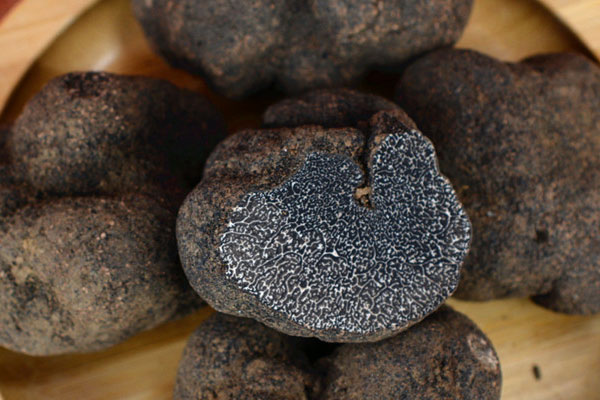 云南產(chǎn)松露的地方多嗎，黑松露貴還是白松露貴