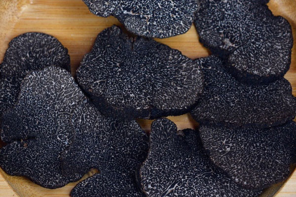 松露酒可以補腎嗎，女人可以喝松露酒嗎