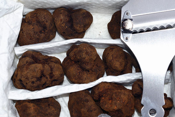 女人能喝松露酒嗎 女人能喝松露酒嗎