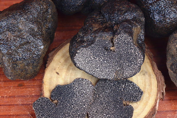 松露的味道好聞嗎 松露的味道好聞嗎