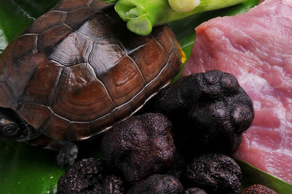 黑松露甲魚(yú)瘦肉湯怎么做好喝，有哪些禁忌人群