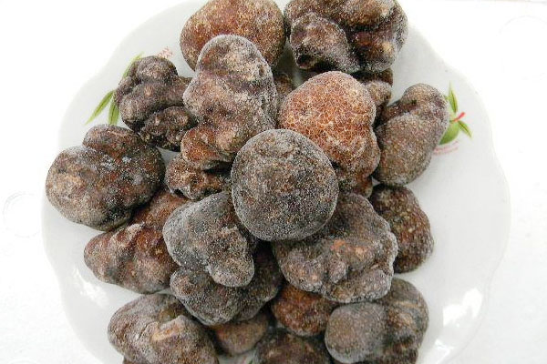 黑松露甲魚瘦肉湯的食用禁忌 黑松露甲魚瘦肉湯的食用禁忌