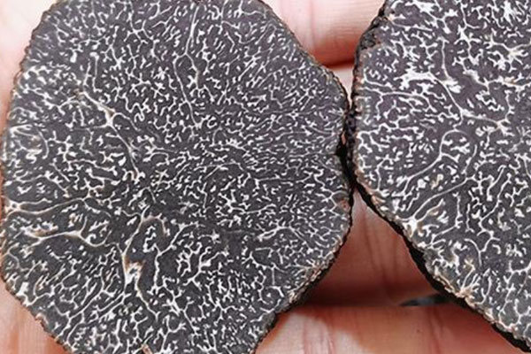 黑松露配蝦排的營養(yǎng)價值 黑松露配蝦排的營養(yǎng)價值