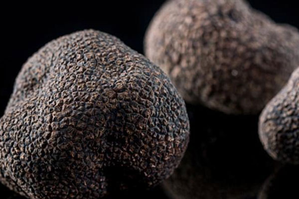 黑松露配蝦排的做法竅門 黑松露配蝦排的做法竅門