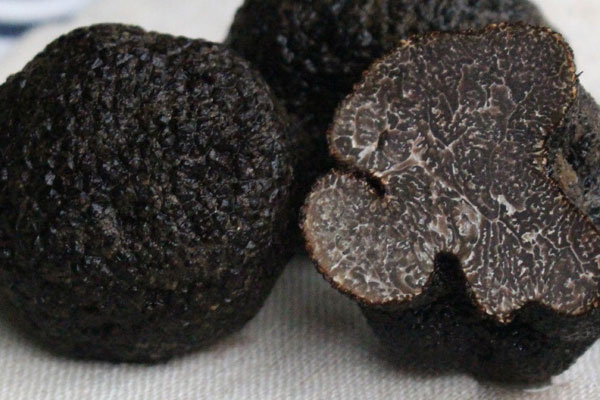 松露放久有沒有危害，松露中間發(fā)黑還能吃嗎