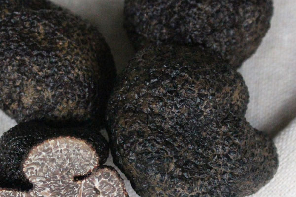 松露中間發(fā)黑還可以吃嗎 松露中間發(fā)黑還可以吃嗎