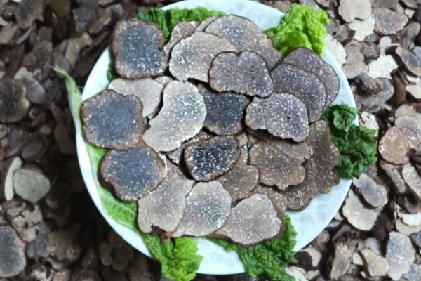 黑松露為什么有股汽油味 黑松露為什么有股汽油味