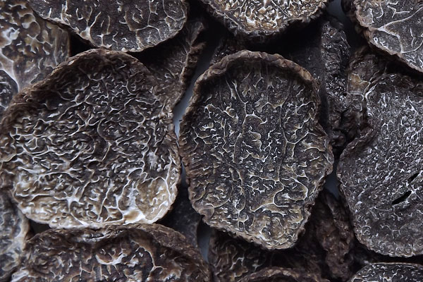 松露泡水喝一次放多少 松露泡水喝一次放多少