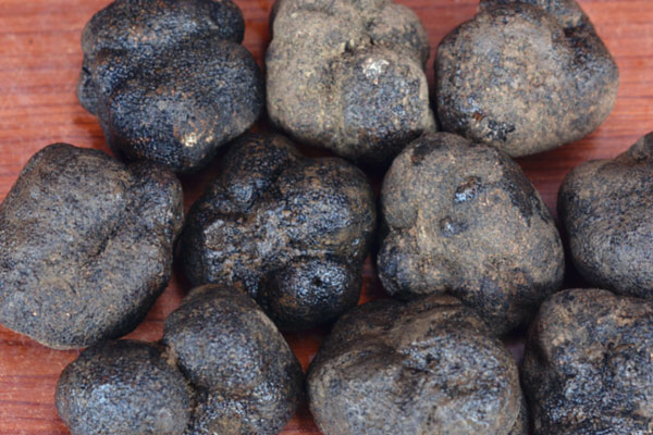 黑松露可以煲粥嗎，黑松露燉湯一般燉多久