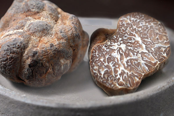 白松露能熬粥嗎 白松露能熬粥嗎