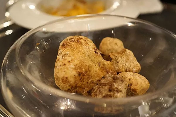 什么是白松露 什么是白松露