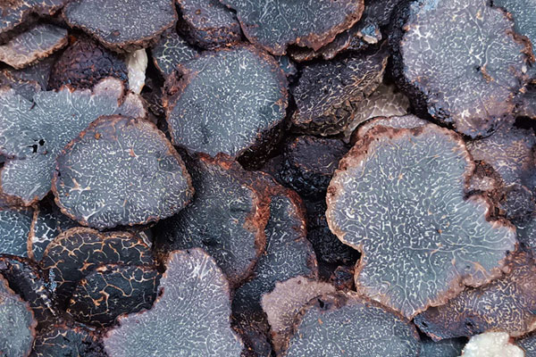 黑松露生吃最好嗎 黑松露生吃最好嗎