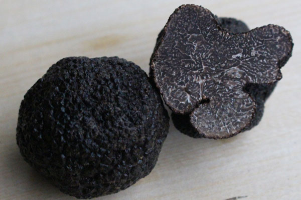 松露常溫下可以放幾天 松露常溫下可以放幾天