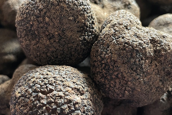 黑松露燒素鵝的營(yíng)養(yǎng)價(jià)值