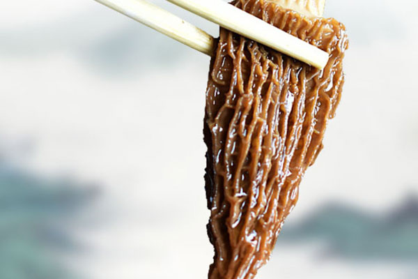 羊肚菌鹿茸菇湯的功效作用 羊肚菌鹿茸菇湯的功效作用