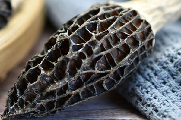 羊肚菌鹿茸菇湯的禁忌人群 羊肚菌鹿茸菇湯的禁忌人群