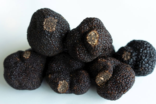 冰箱里的松露凍多久不能吃 冰箱里的松露凍多久不能吃