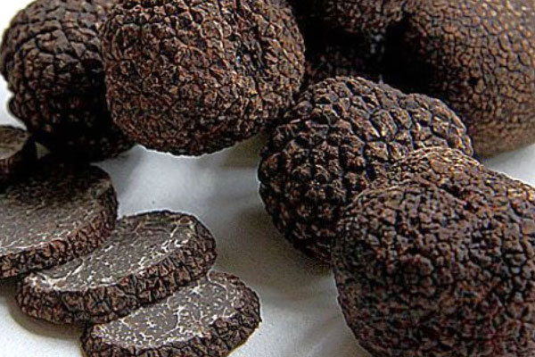 松露可以搭配螃蟹一起烹飪嗎 松露可以搭配螃蟹一起烹飪嗎