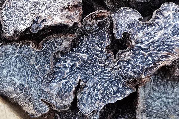 黑松露雪蓮果響螺湯的營養(yǎng)價值 黑松露雪蓮果響螺湯的營養(yǎng)價值