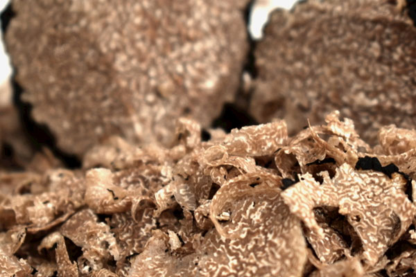 黑松露牛尾湯的做法竅門