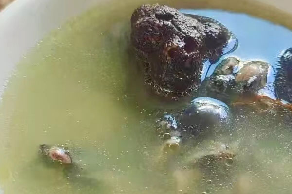 黑松露首烏烏雞湯的營(yíng)養(yǎng)價(jià)值