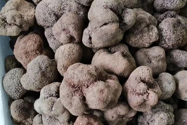 黑松露鵝肝鰻魚飯的食用禁忌