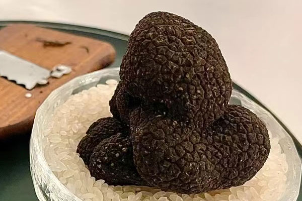 新鮮松露可以泡酒嗎，松露與什么泡酒效果最佳