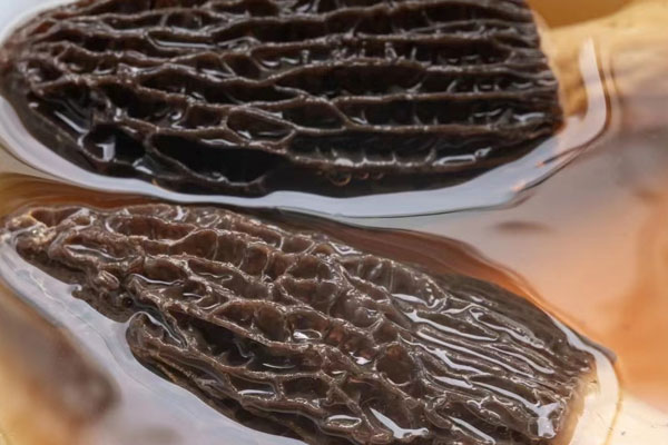 羊肚菌怎樣清洗，羊肚菌煲湯一般放幾顆