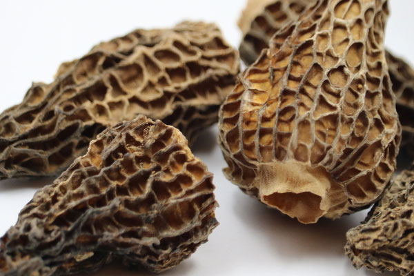 干羊肚菌怎么泡發(fā)，吃羊肚菌的禁忌