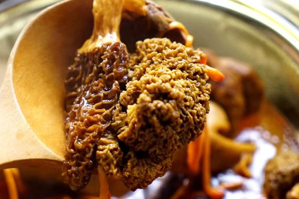 生理期可以吃羊肚菌嗎，羊肚菌可以祛斑嗎