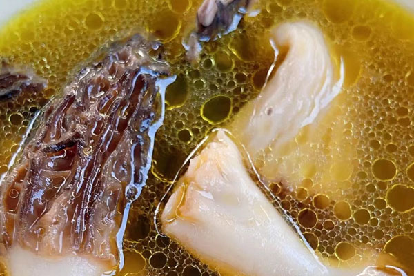 手術(shù)后能吃羊肚菌燉雞嗎，皮膚擦傷可以吃羊肚菌嗎