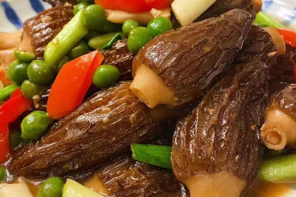 經(jīng)常吃羊肚菌的好處 經(jīng)常吃羊肚菌的好處