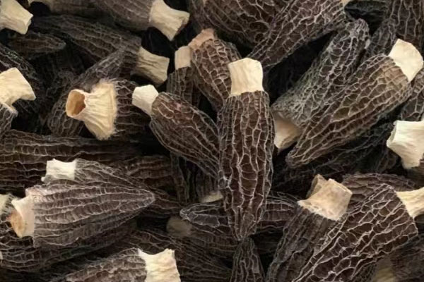 貧血的人可以吃羊肚菌嗎 貧血的人可以吃羊肚菌嗎