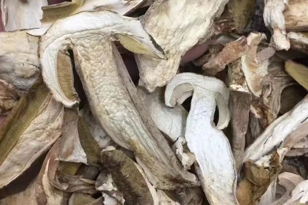 牛肝菌泡了十小時還可以吃嗎