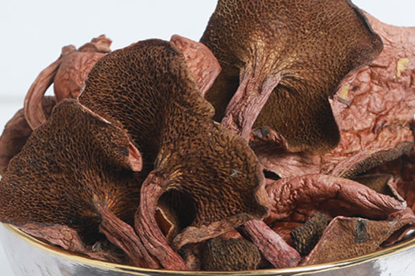 紅乳牛肝菌當(dāng)歸土雞湯的食用禁忌 紅乳牛肝菌當(dāng)歸土雞湯的食用禁忌