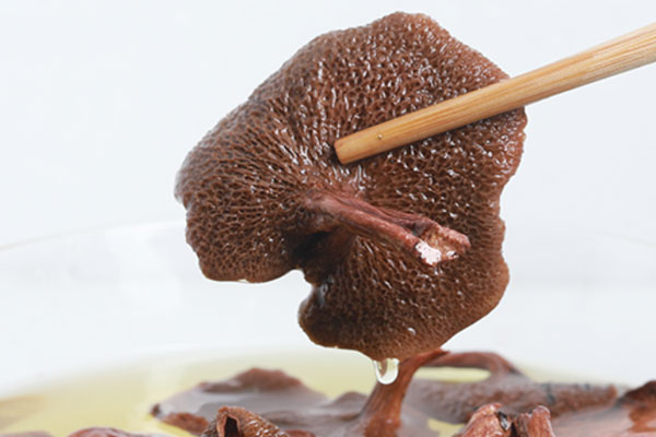 紅乳牛肝菌肉丸湯的食用禁忌 紅乳牛肝菌肉丸湯的食用禁忌