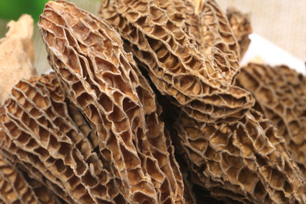 羊肚菌冬瓜麥冬鴨湯的功效作用 羊肚菌冬瓜麥冬鴨湯的功效作用