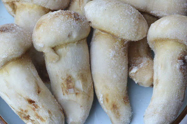 松茸解凍后還能繼續(xù)冷凍嗎