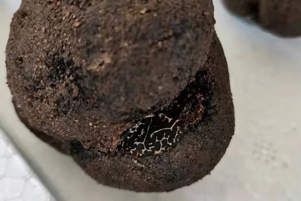 云南省松露有幾種，云南松露分布在哪些地方