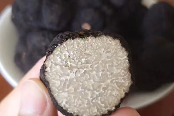 黑松露黑心的好還是白心的好，黑松露大小口感有分別嗎